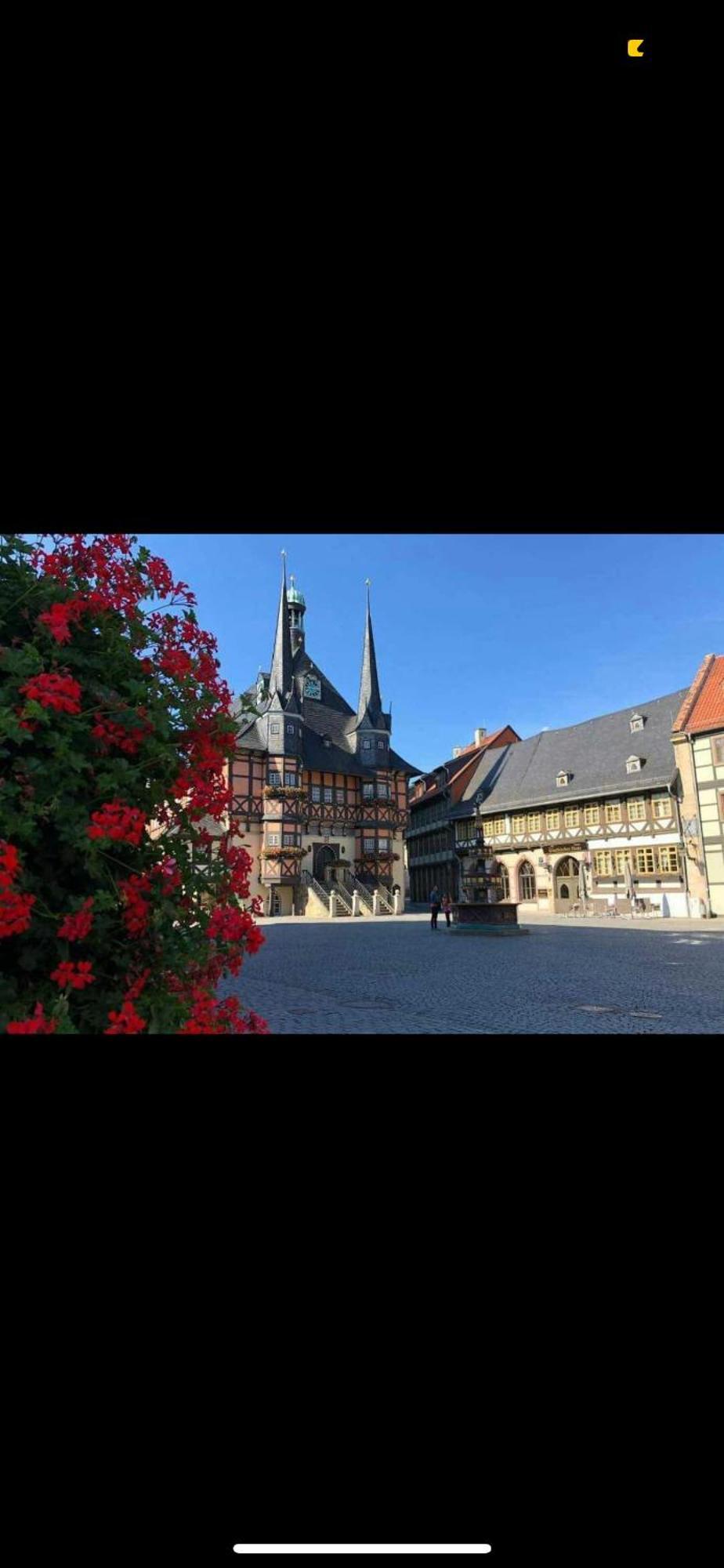 Ferienwohnung Im Harz Veckenstedt Exterior photo